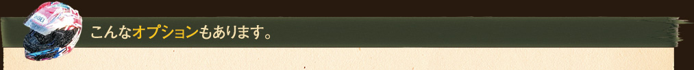 こんなオプションもあります